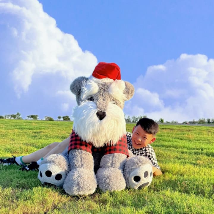 犬 ぬいぐるみ ふんわりシュナウザーの冬じたく