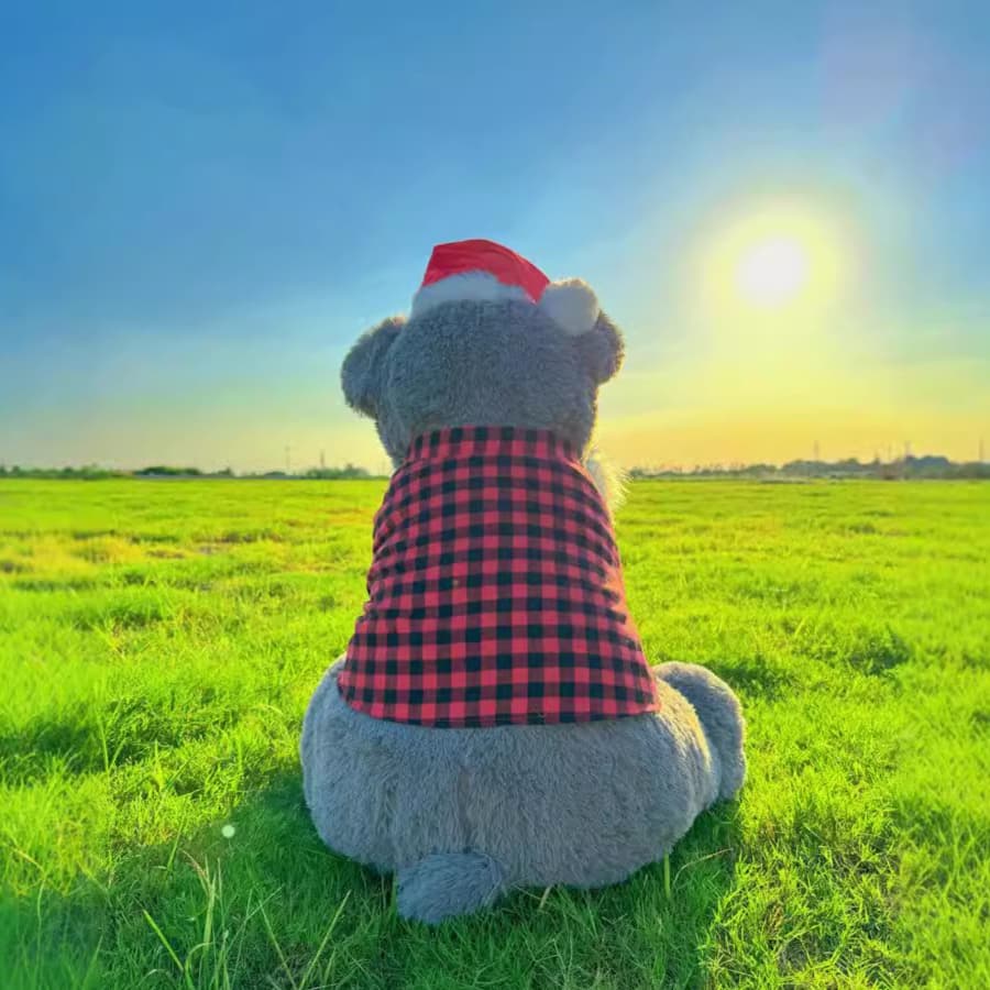 犬 ぬいぐるみ ふんわりシュナウザーの冬じたく
