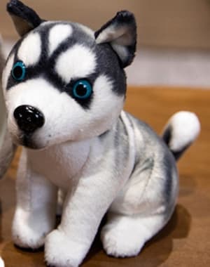 犬 ぬいぐるみ もこもこドッグハウス付き犬ぬいぐるみセット