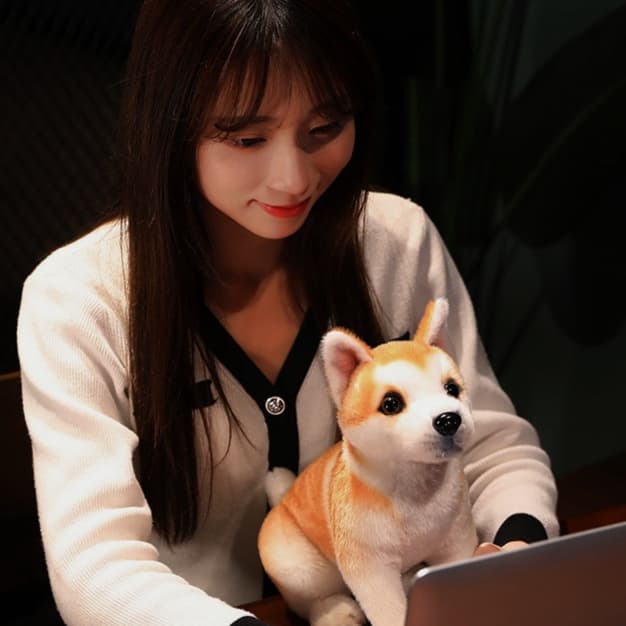 犬 ぬいぐるみ もふもふ和犬の癒やし秋田犬ぬいぐるみ