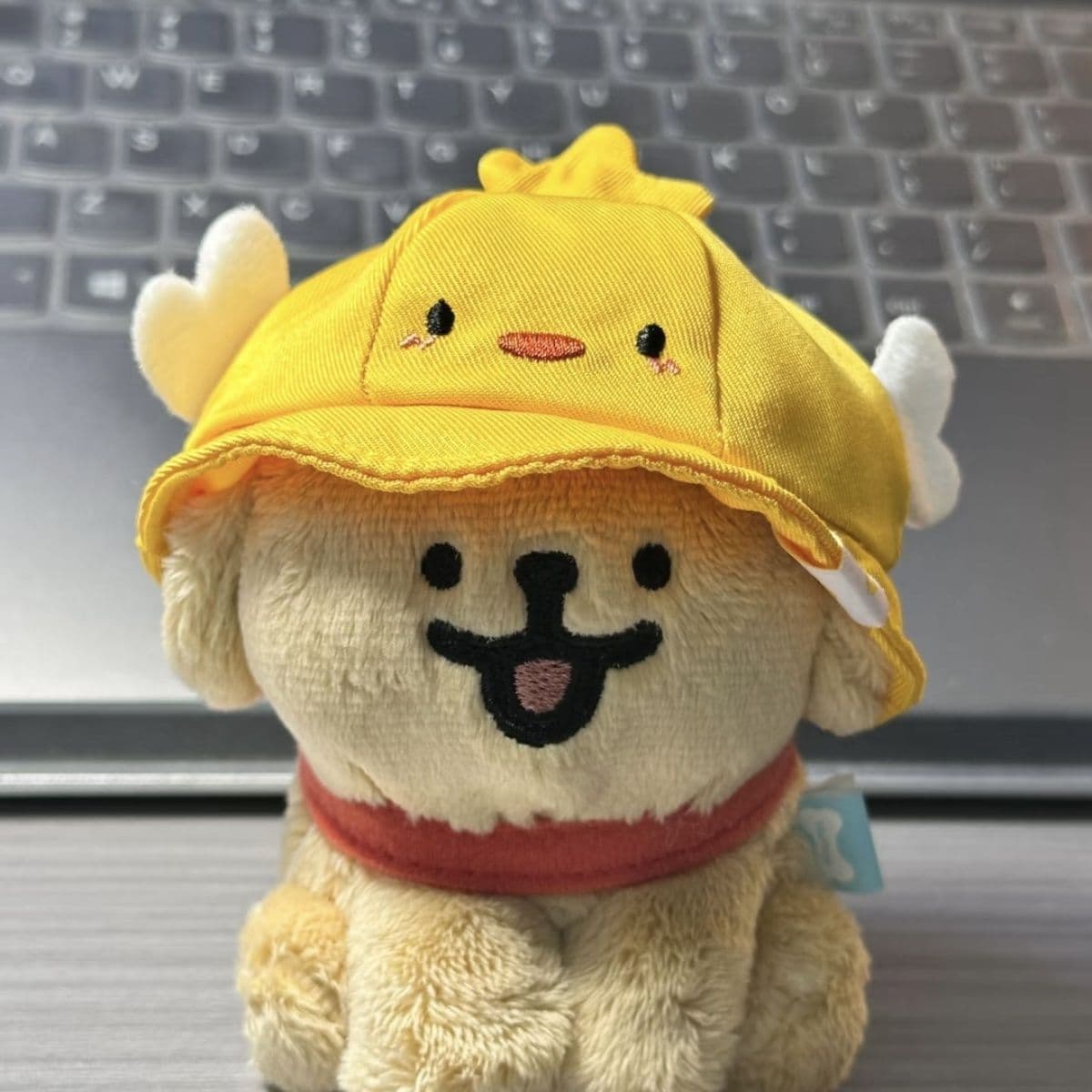 犬 ぬいぐるみ 犬 ぬいぐるみ ひよこ帽子の豆柴ちゃん