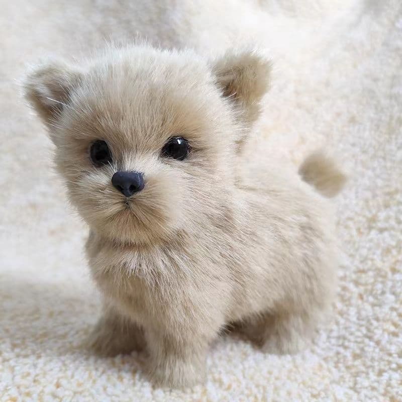 犬 ぬいぐるみ 犬 ぬいぐるみ ふわもふポメちゃん人形