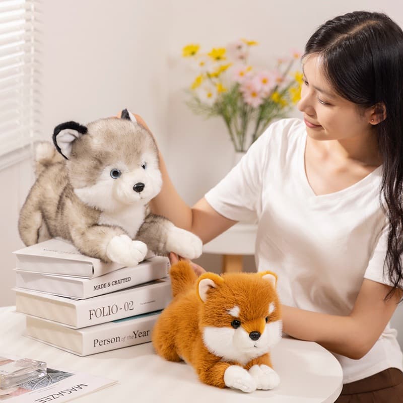 犬 ぬいぐるみ もふもふ柴犬ぬいぐるみ コレクション