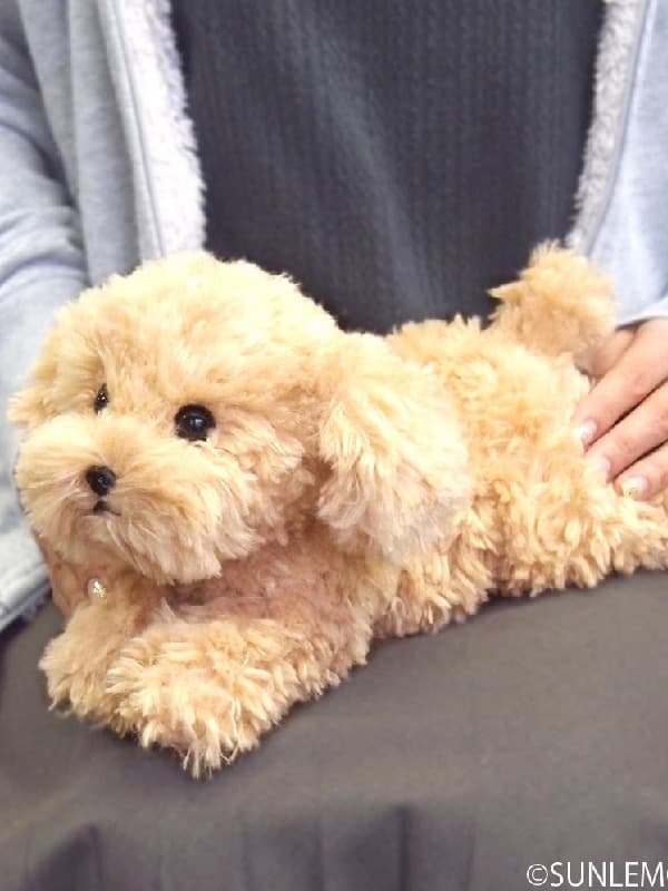 犬 ぬいぐるみ ふわもこプードルの夢うさぎ