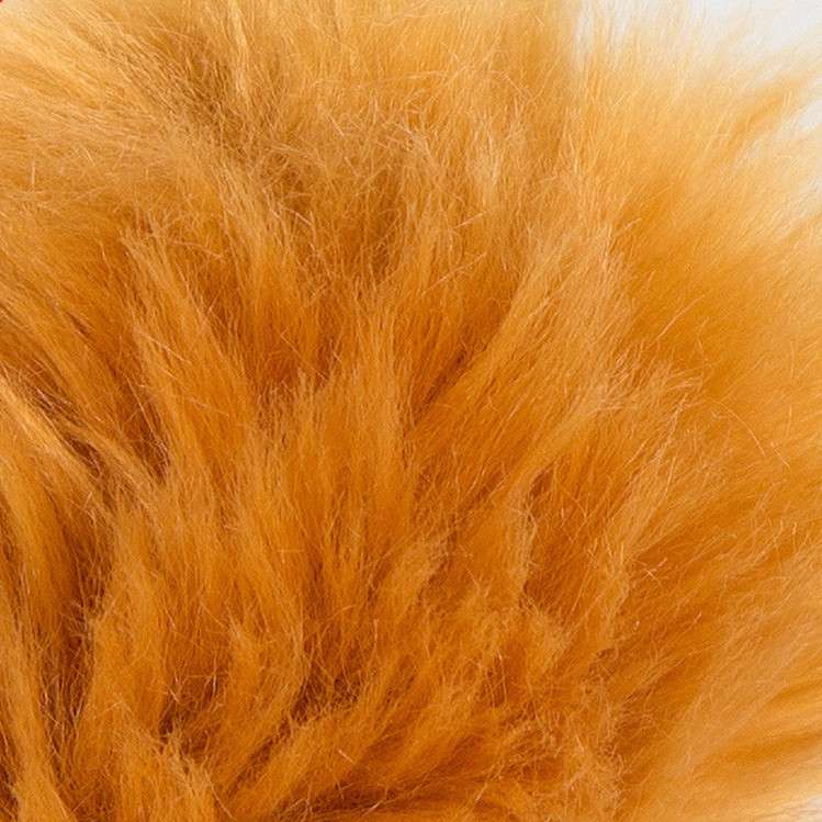 犬 ぬいぐるみ もふもふポメラニアン抱きぐるみ