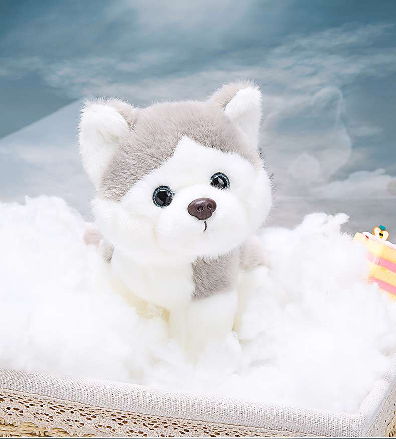 犬 ぬいぐるみ もふもふ仲良し犬ぬいぐるみコレクション