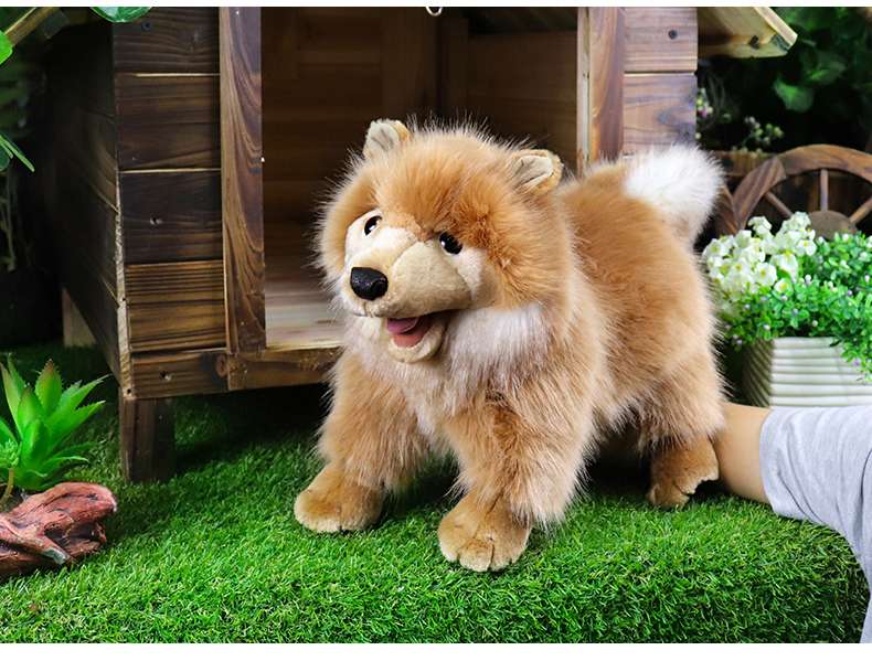 犬 ぬいぐるみ もふもふポメラニアン 愛らしいお友達