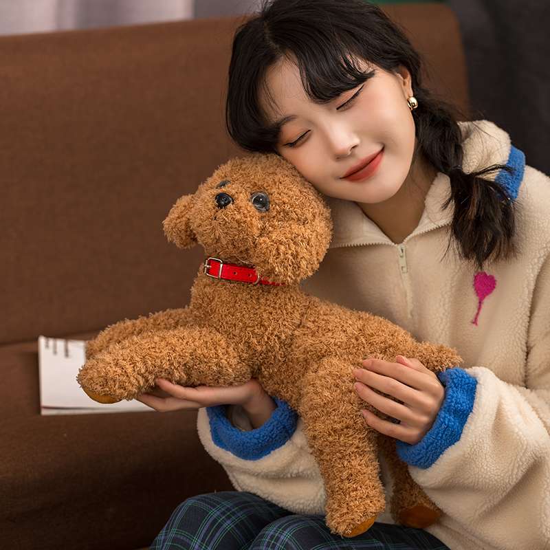 犬 ぬいぐるみ もふもふトイプードル抱きぐるみ
