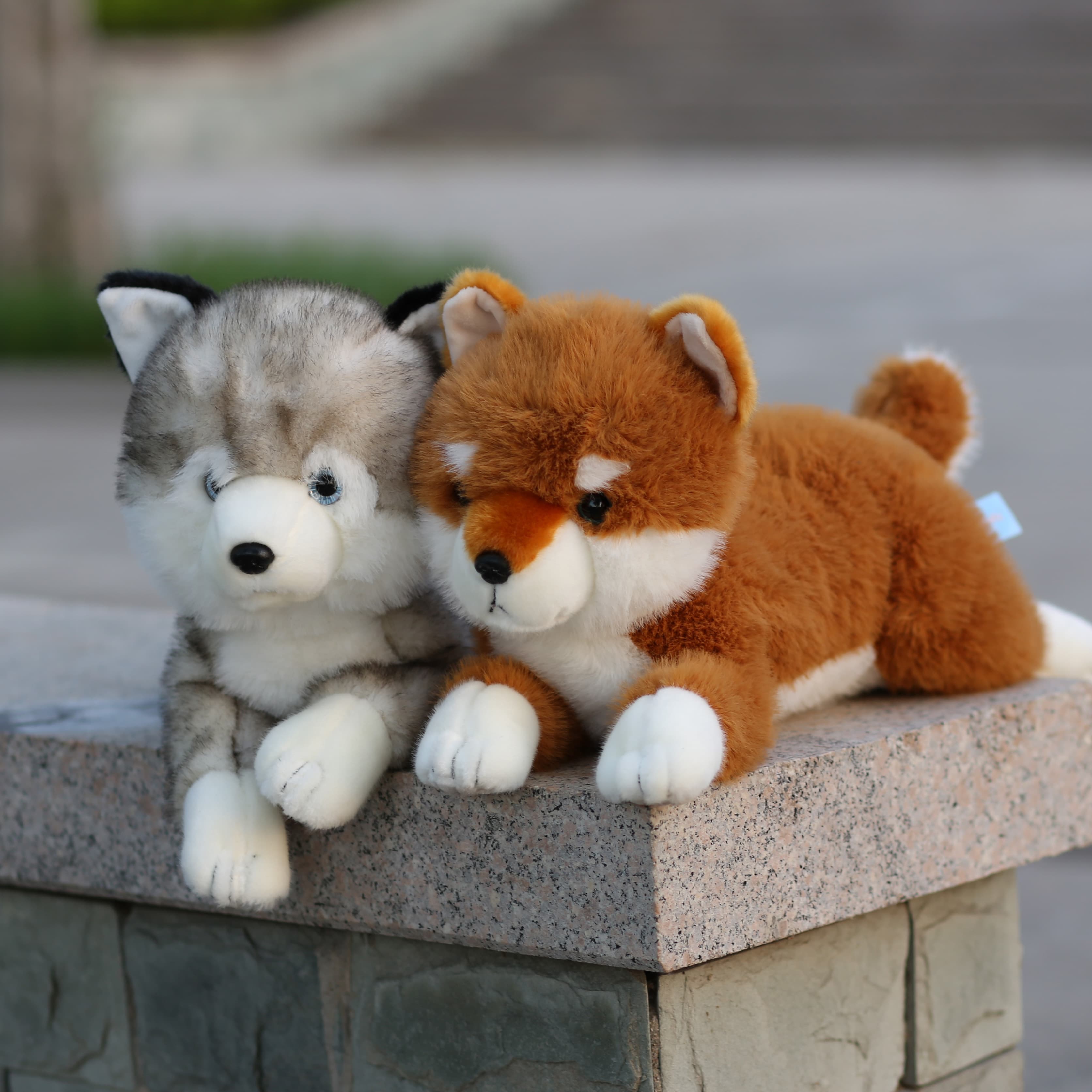 犬 ぬいぐるみ もっちり抱きしめ柴犬ぬいぐるみ