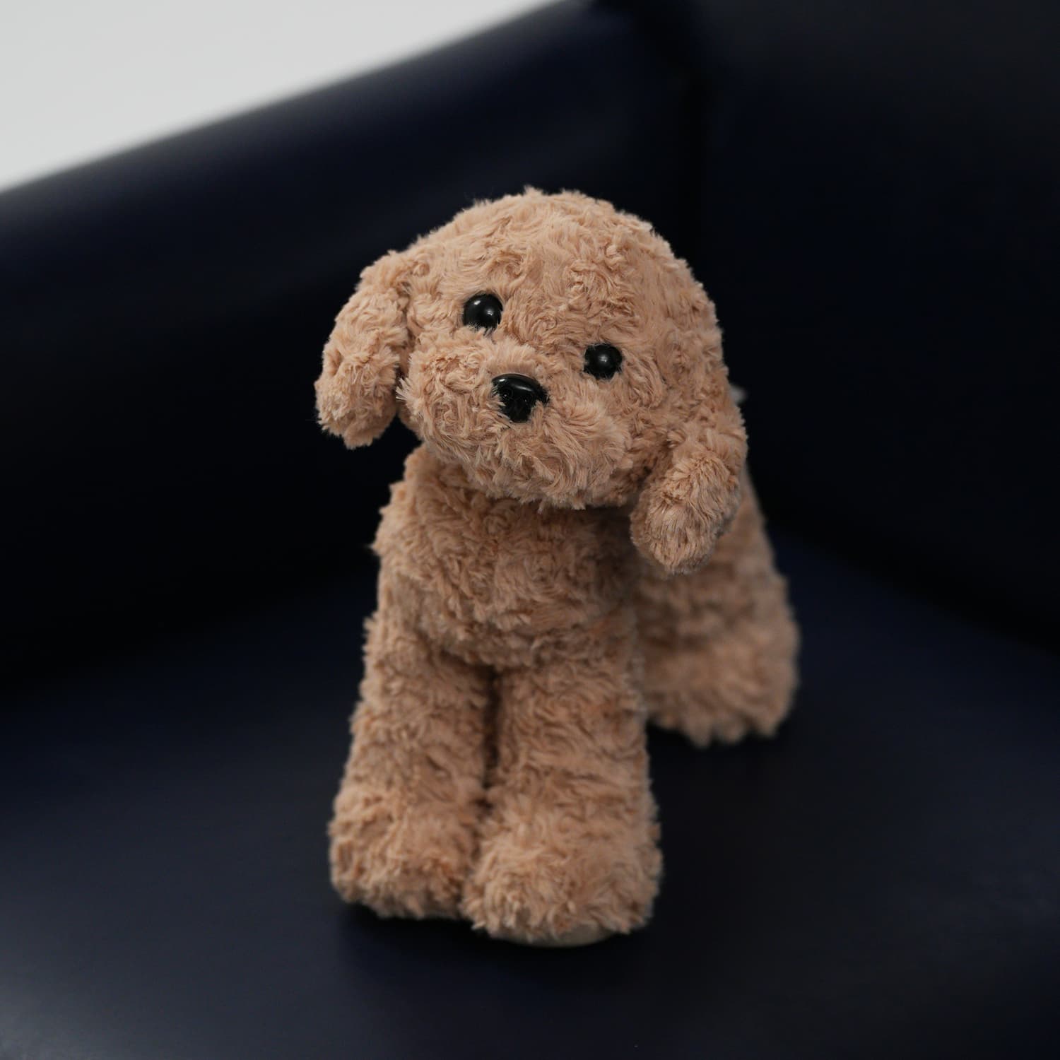 犬 ぬいぐるみ 犬 ぬいぐるみ もふもふトイプードル 癒しの友