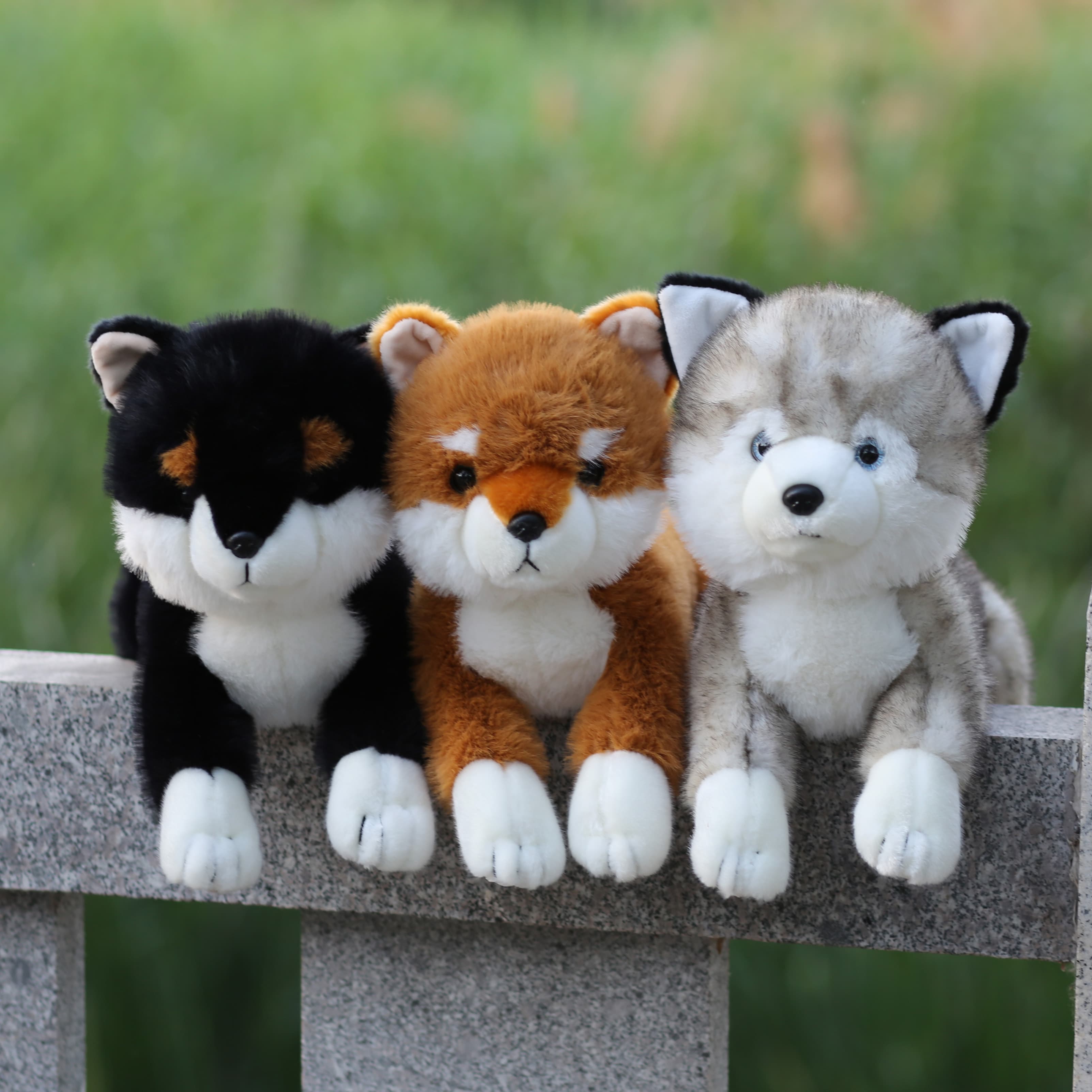 犬 ぬいぐるみ もっちり抱きしめ柴犬ぬいぐるみ