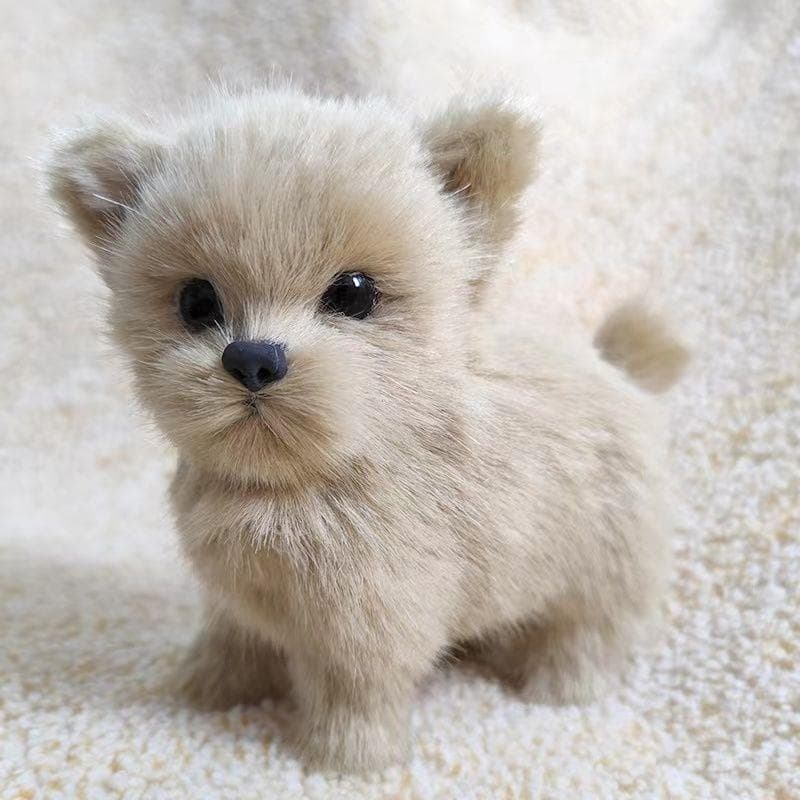 犬 ぬいぐるみ 犬 ぬいぐるみ ふわもふポメちゃん人形