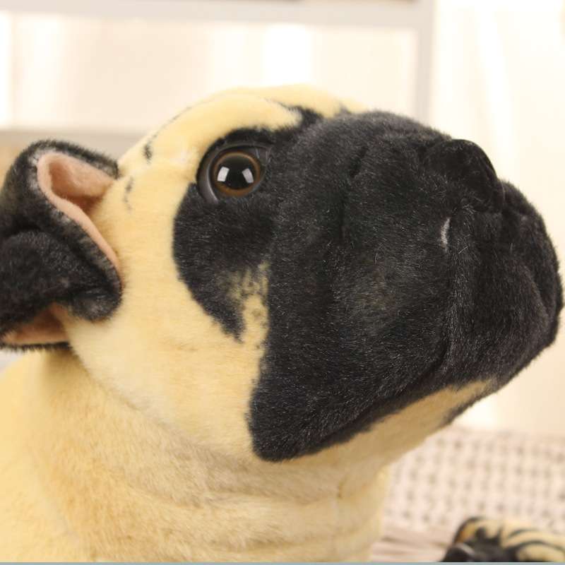 犬 ぬいぐるみ もちもちパグのぬいぐるみ