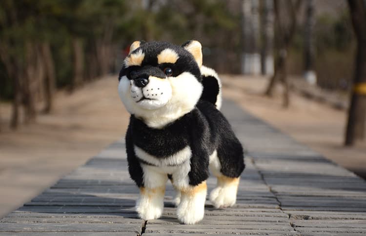 犬 ぬいぐるみ 立体的な黒柴犬のリアルぬいぐるみ