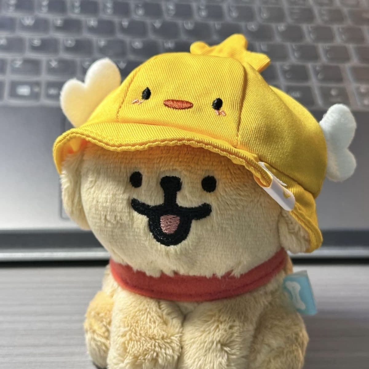 犬 ぬいぐるみ 犬 ぬいぐるみ ひよこ帽子の豆柴ちゃん