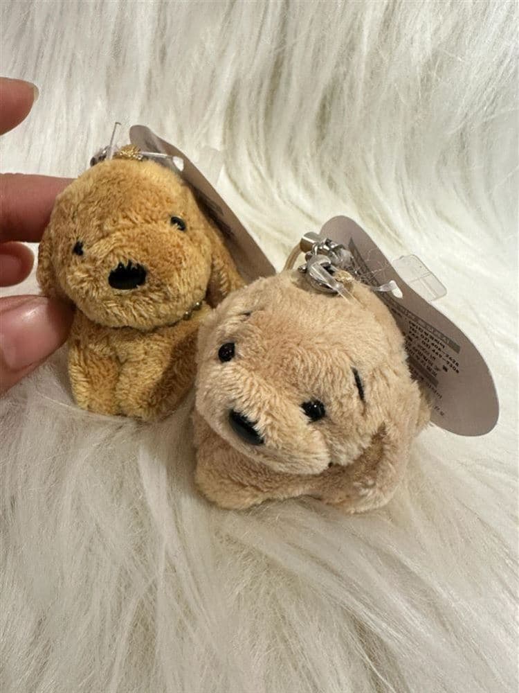犬 ぬいぐるみ 犬 ぬいぐるみ もふもふトイプードルの親友