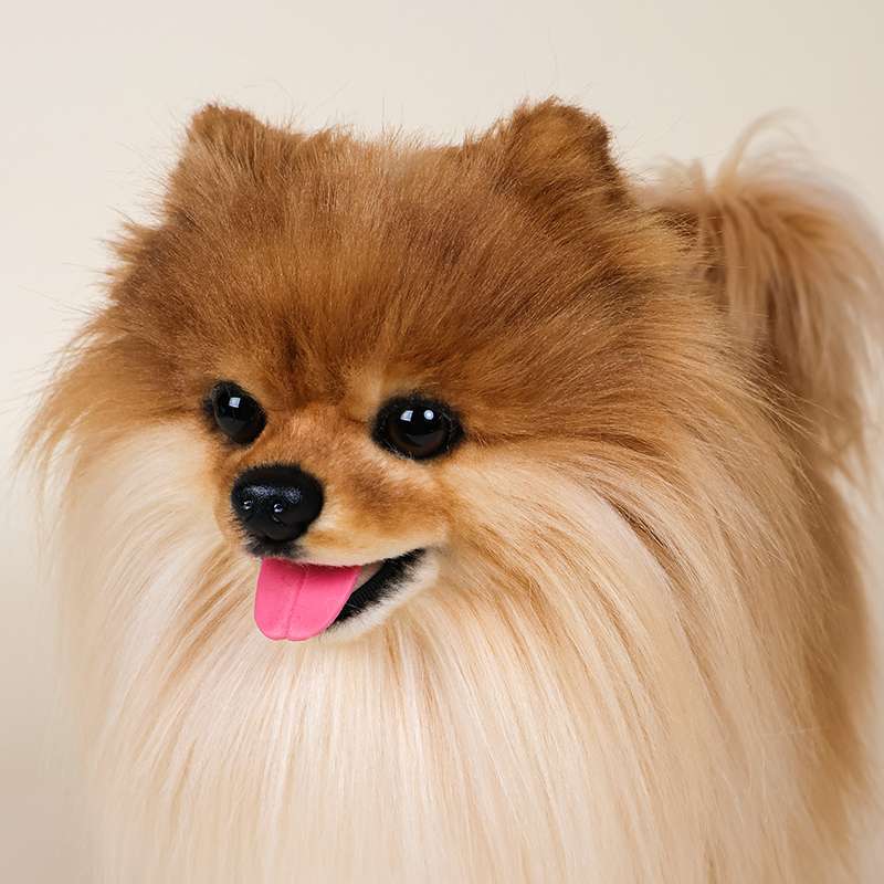 犬 ぬいぐるみ もふもふ王子の癒しポメラニアン