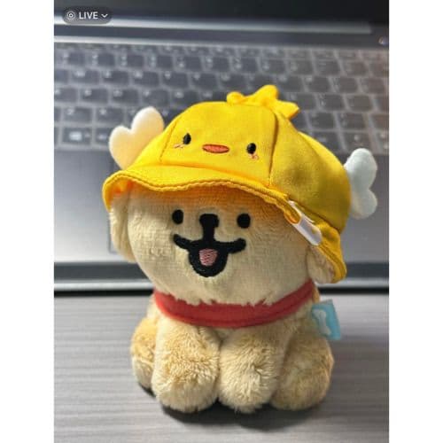 犬 ぬいぐるみ 犬 ぬいぐるみ ひよこ帽子の豆柴ちゃん