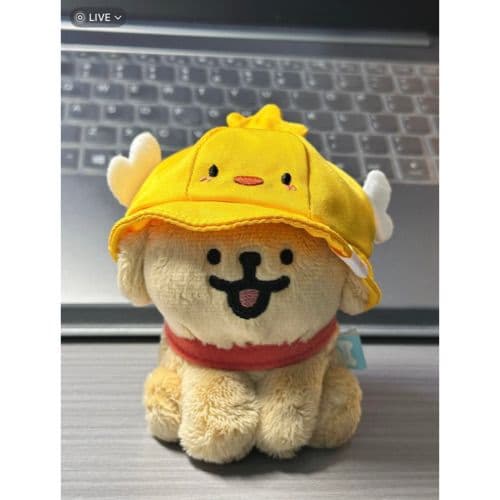 犬 ぬいぐるみ 犬 ぬいぐるみ ひよこ帽子の豆柴ちゃん