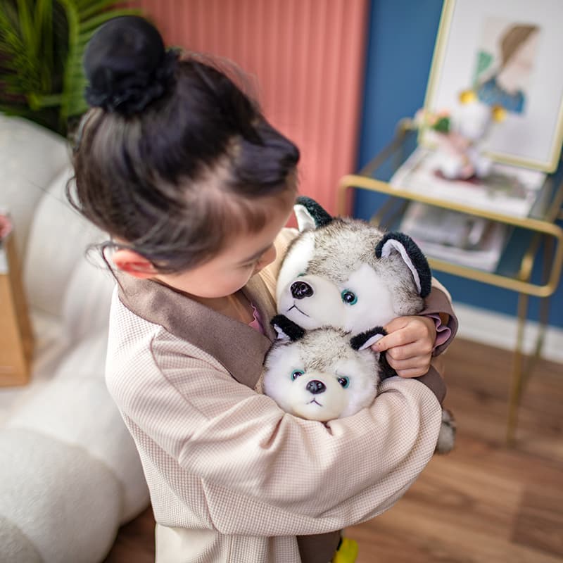 柴犬ぬいぐるみ