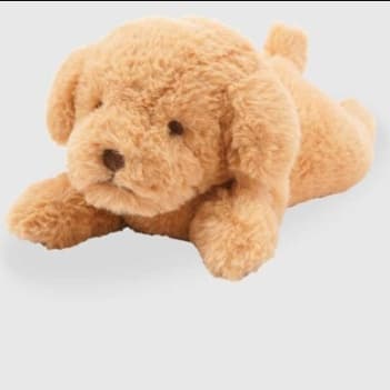 犬 ぬいぐるみ もこもこトイプードルの癒し仲間