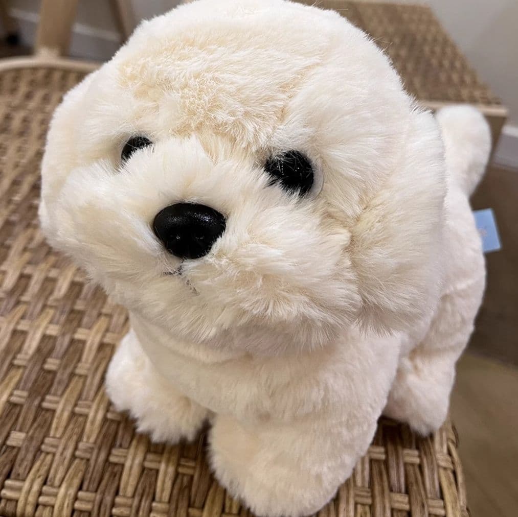 犬 ぬいぐるみ 犬 ぬいぐるみ もふもふプードルちゃん