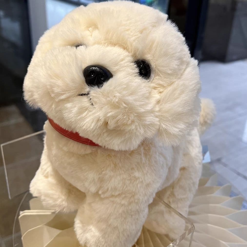 犬 ぬいぐるみ 犬 ぬいぐるみ もふもふプードルちゃん