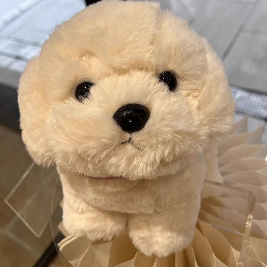 犬 ぬいぐるみ 犬 ぬいぐるみ もふもふプードルちゃん