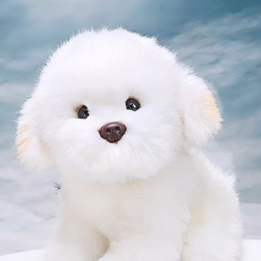 犬 ぬいぐるみ もふもふ笑顔の柴犬ともだち