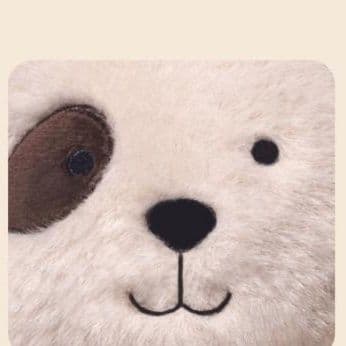 犬 ぬいぐるみ おめでとう!パーティーわんちゃん