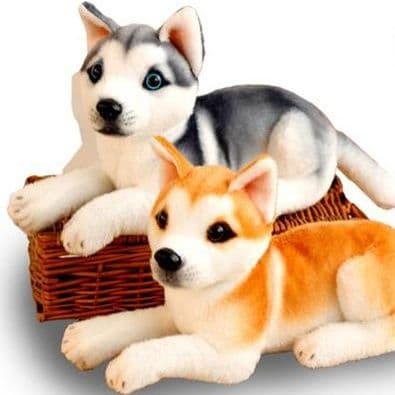 愛らしい表情の柴犬座りポーズぬいぐるみ