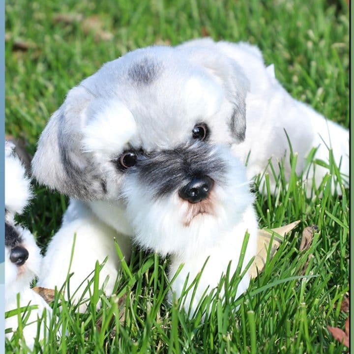犬 ぬいぐるみ もふもふシュナウザーの友達