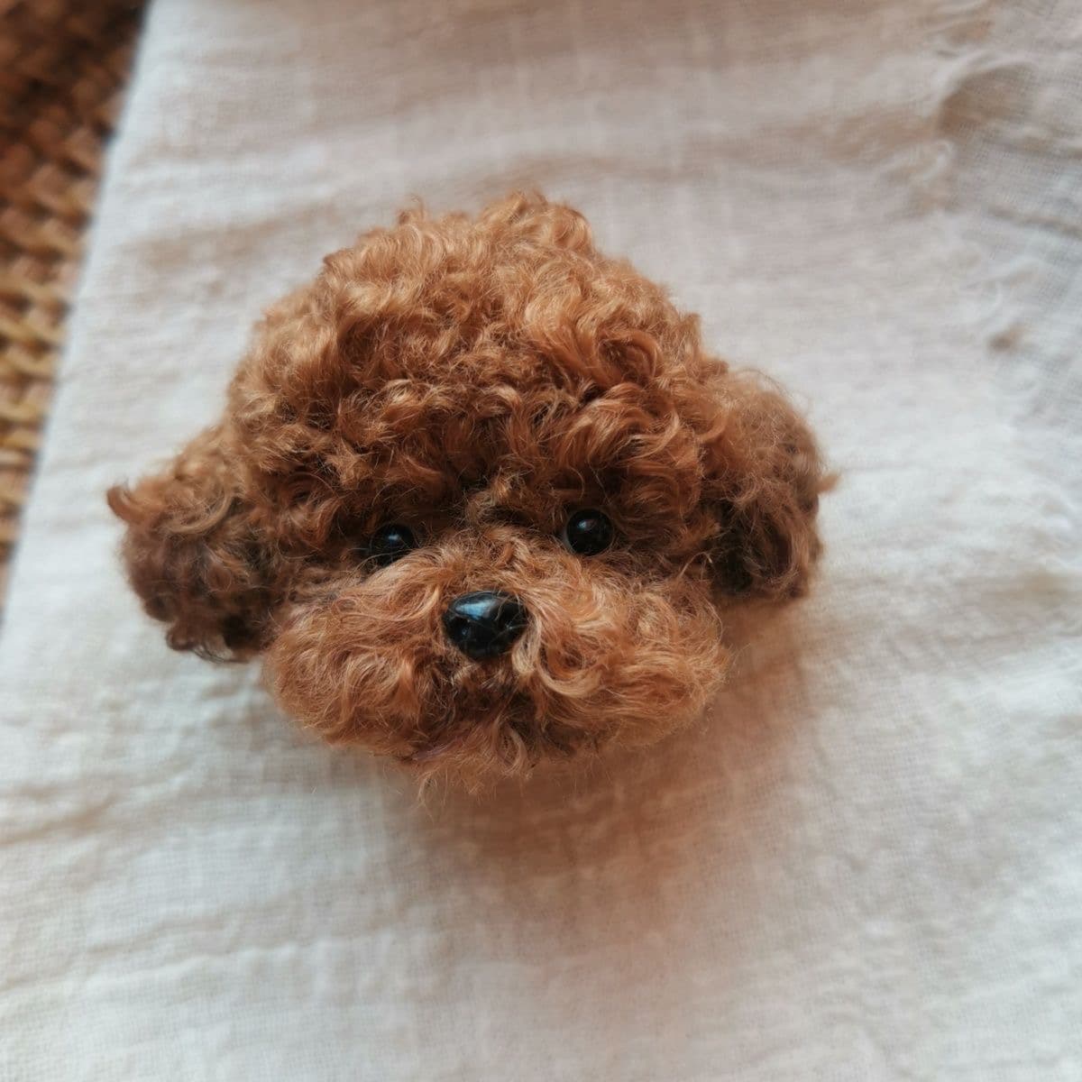 犬 ぬいぐるみ ふわもこトイプードルの顔