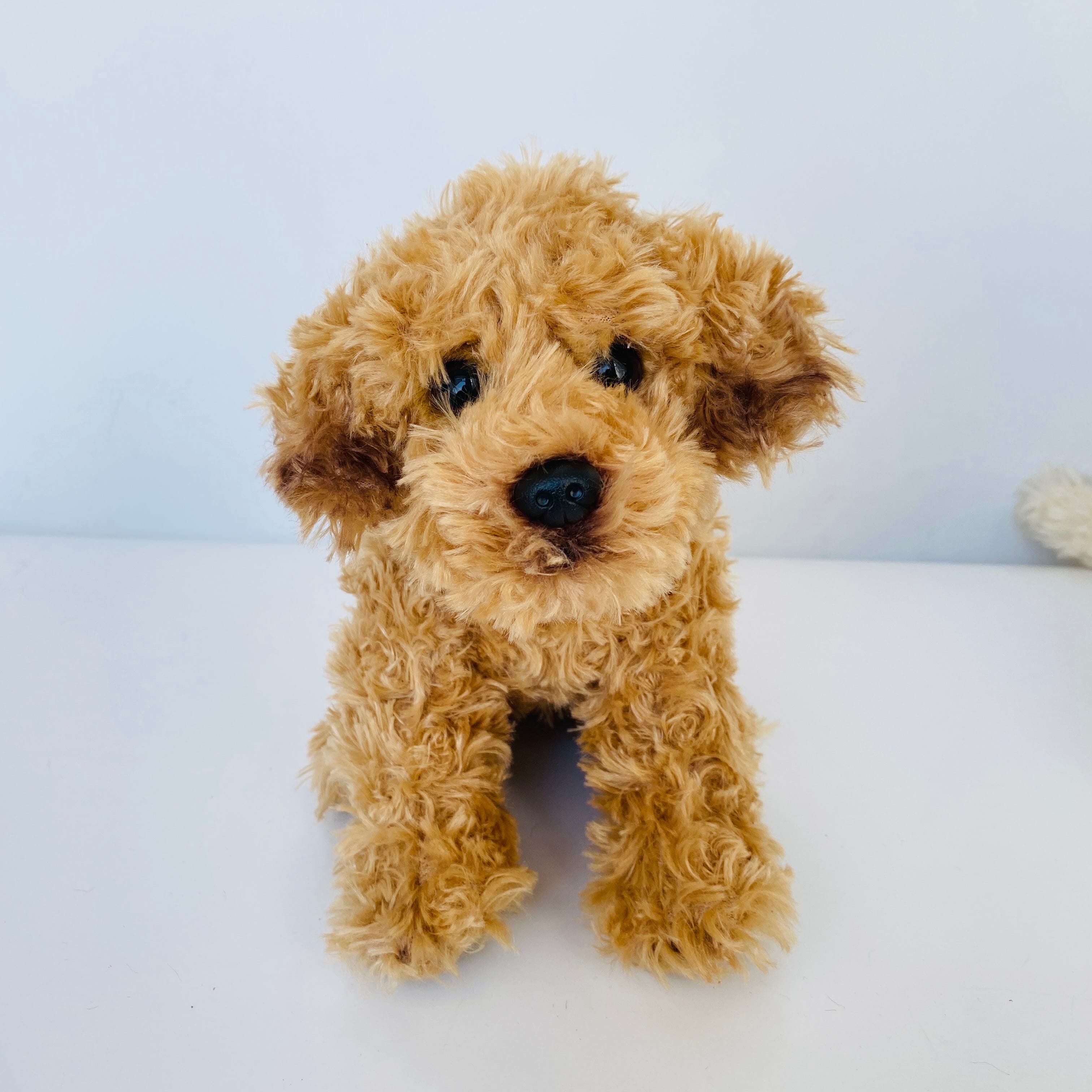 犬 ぬいぐるみ 犬 ぬいぐるみ もふもふトイプードル仔犬