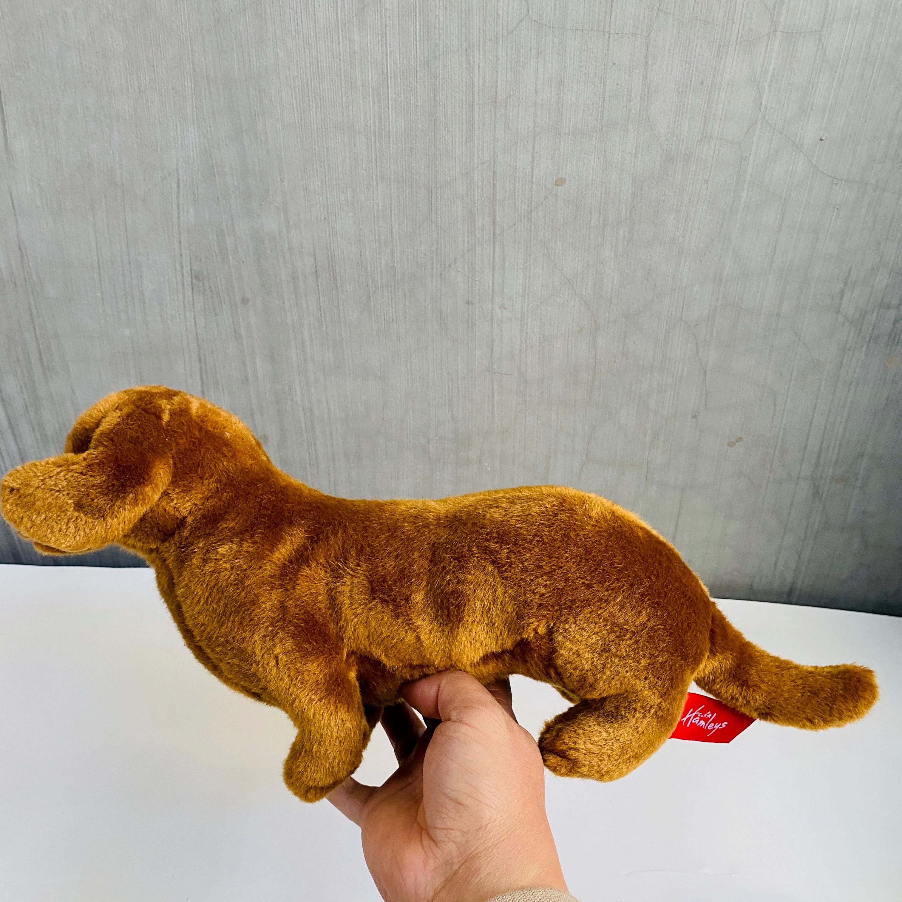 犬 ぬいぐるみ もちもち抱っこ柴犬のお友達