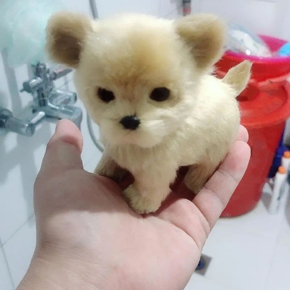 犬 ぬいぐるみ 犬 ぬいぐるみ ふわもこポメちゃん