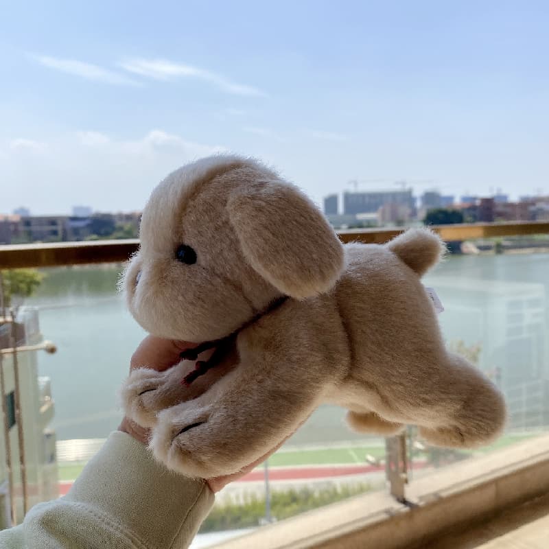 犬 ぬいぐるみ もふもふ子犬ちゃん