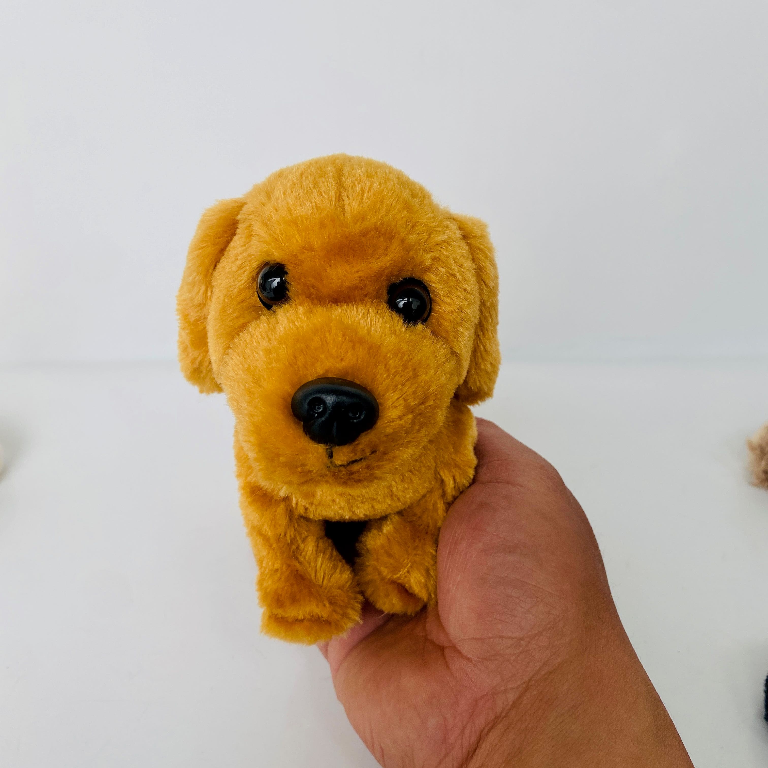 犬 ぬいぐるみ 犬 ぬいぐるみ もふもふ仲間たち トイプードル