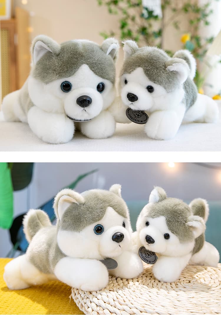 愛らしい表情の柴犬ぬいぐるみ