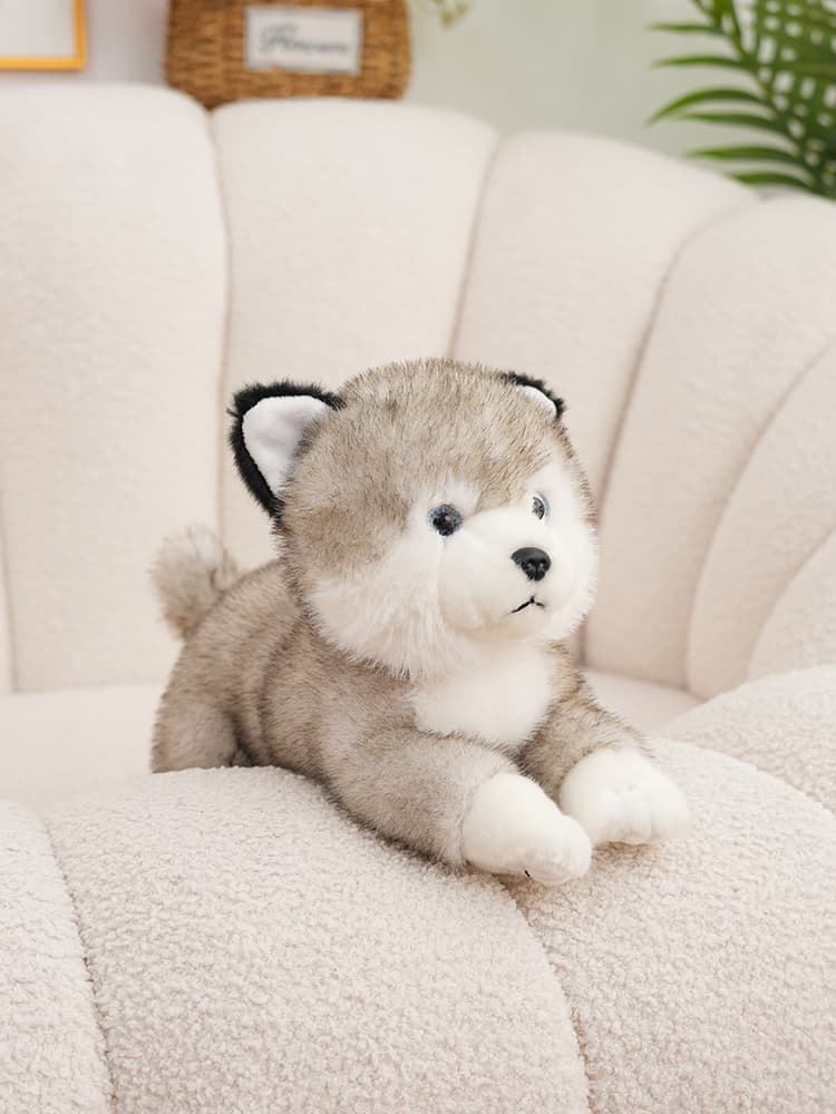 犬 ぬいぐるみ ふわもふ豆柴ぬいぐるみ 愛らしい仲間たち