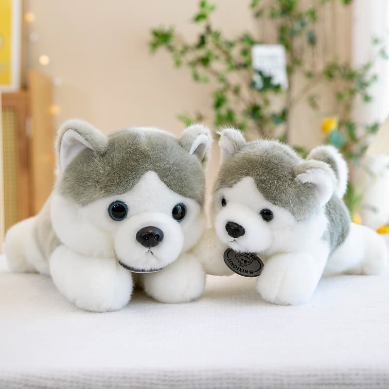 愛らしい表情の柴犬ぬいぐるみ