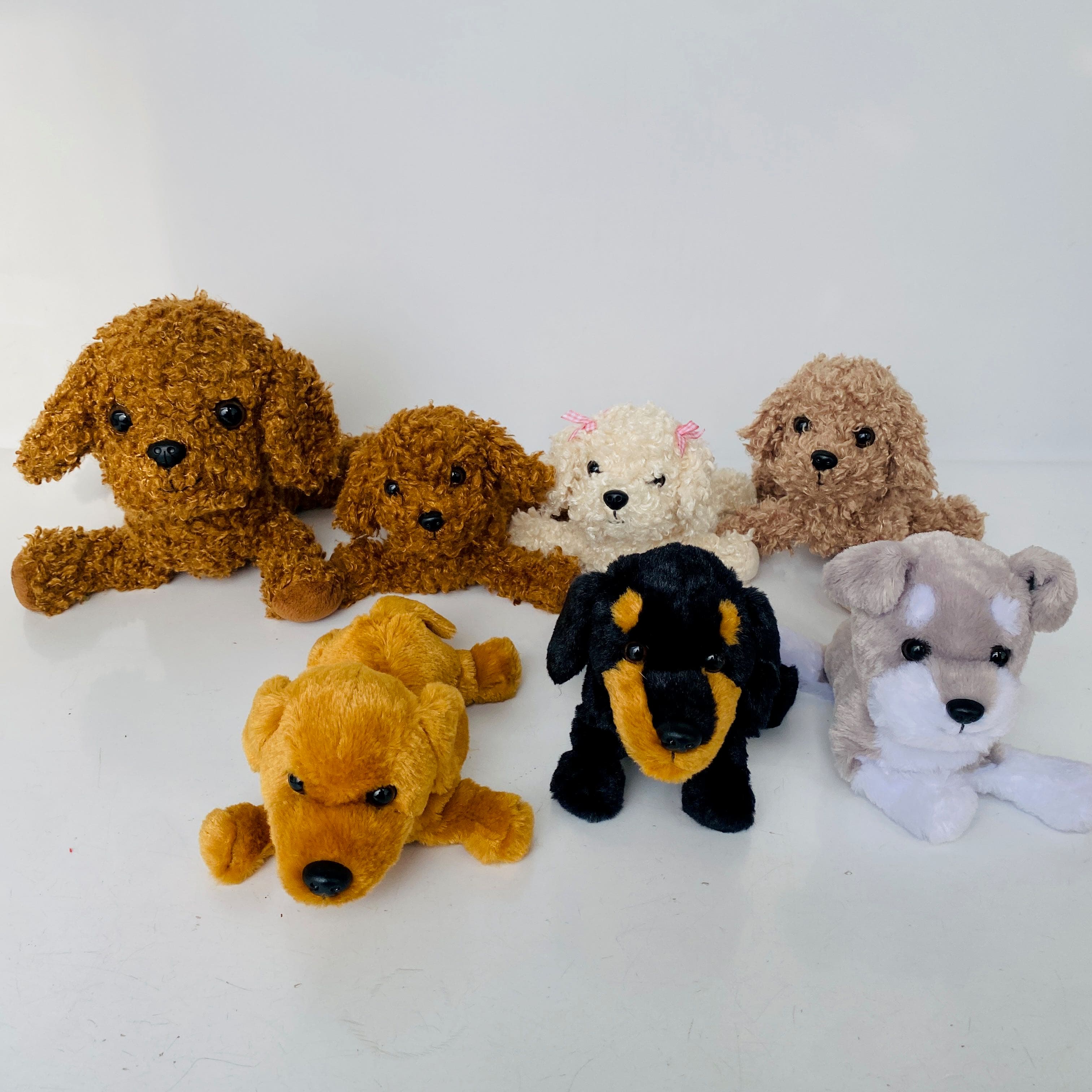 犬 ぬいぐるみ 犬 ぬいぐるみ もふもふ仲間たち トイプードル