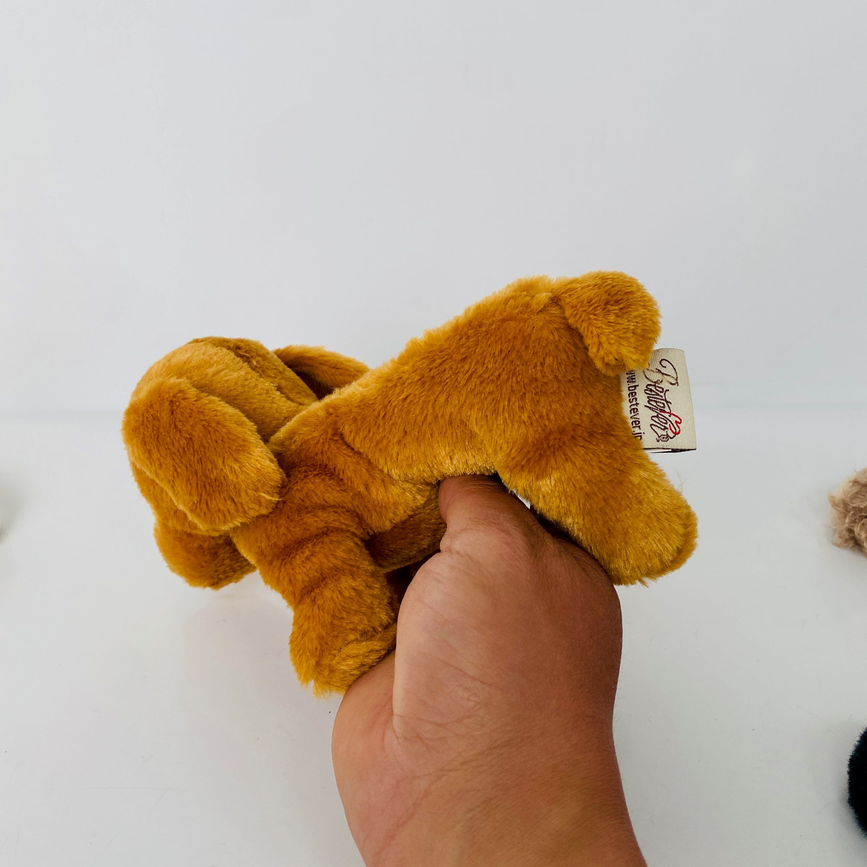 犬 ぬいぐるみ 犬 ぬいぐるみ もふもふ仲間たち トイプードル