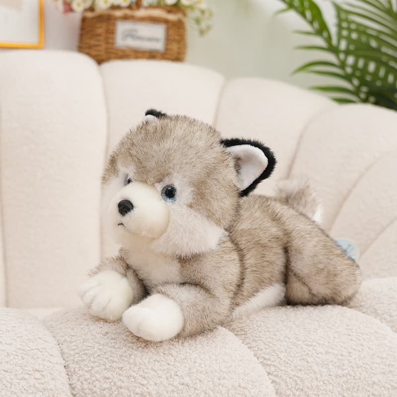 犬 ぬいぐるみ ふわもふ豆柴ぬいぐるみ 愛らしい仲間たち