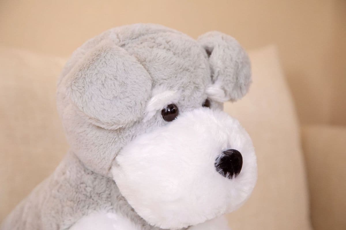 犬 ぬいぐるみ ふわもこシュナウザーの癒し友