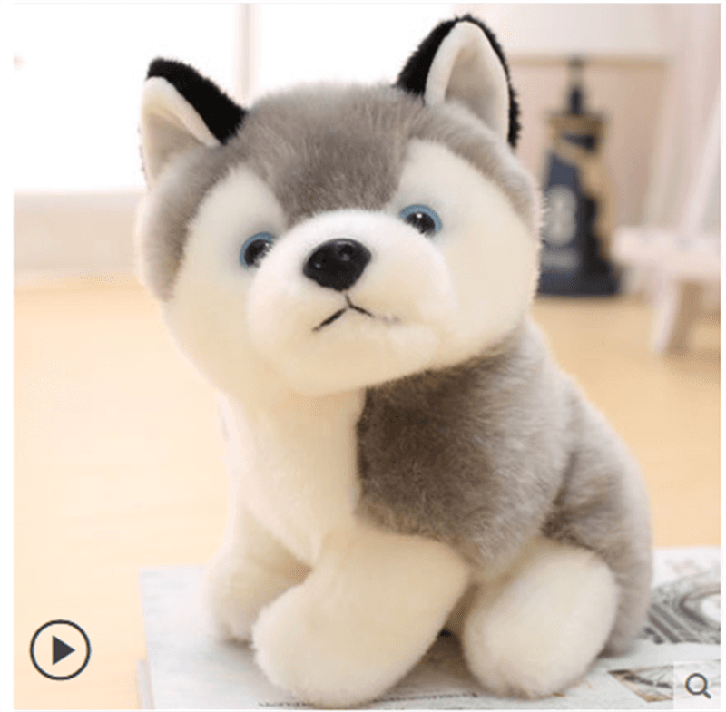 犬 ぬいぐるみ ふわもこ秋田犬のお友達