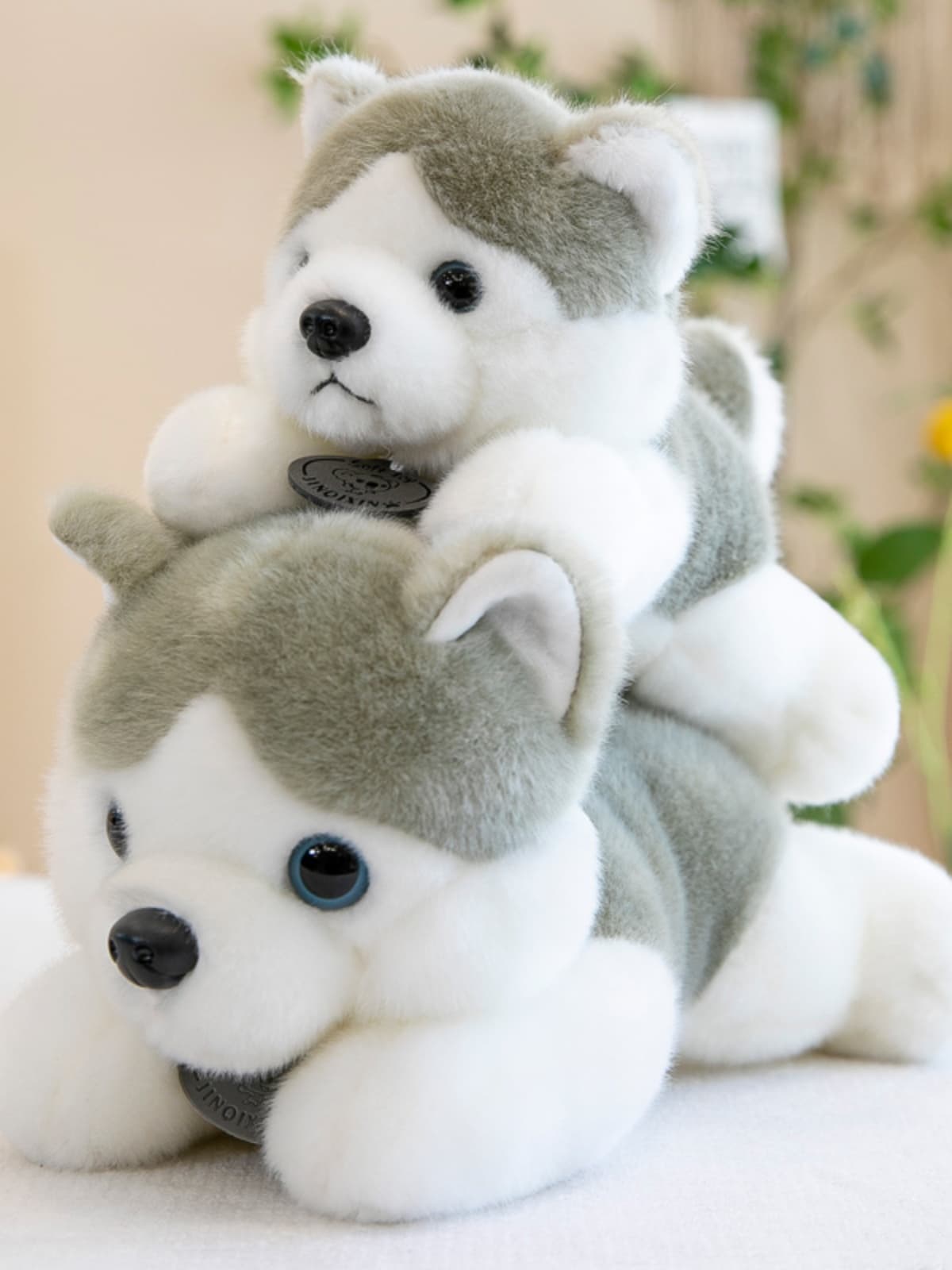 愛らしい表情の柴犬ぬいぐるみ
