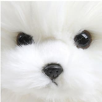 犬 ぬいぐるみ 犬 ぬいぐるみ もふもふポメちゃん
