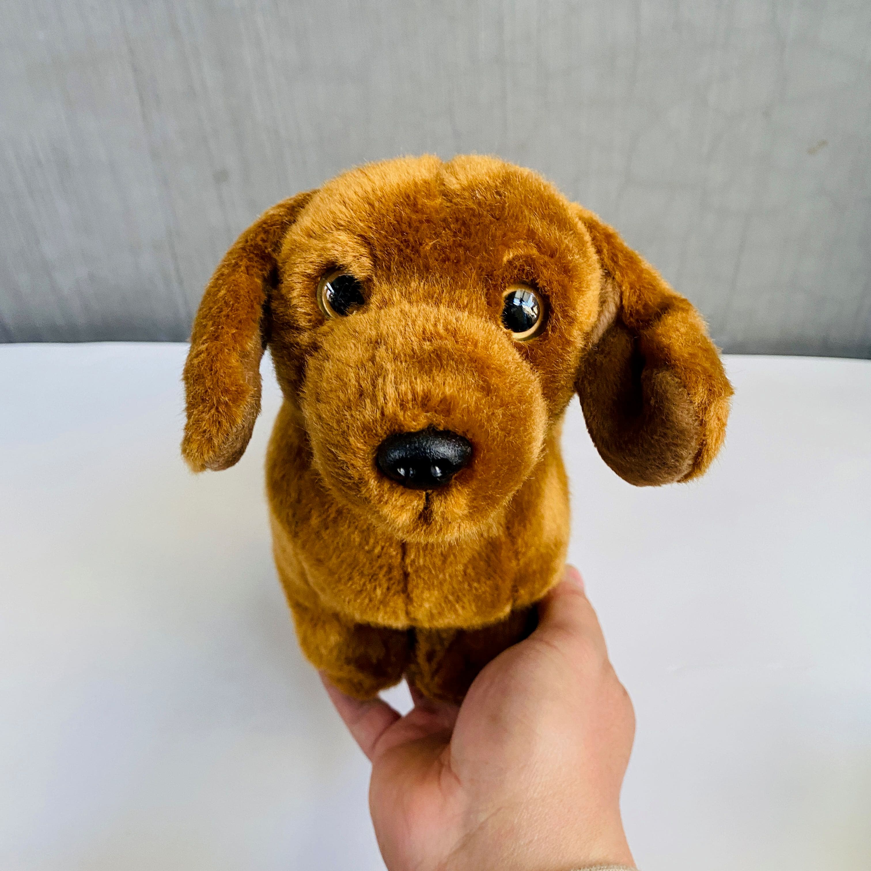 犬 ぬいぐるみ もちもち抱っこ柴犬のお友達