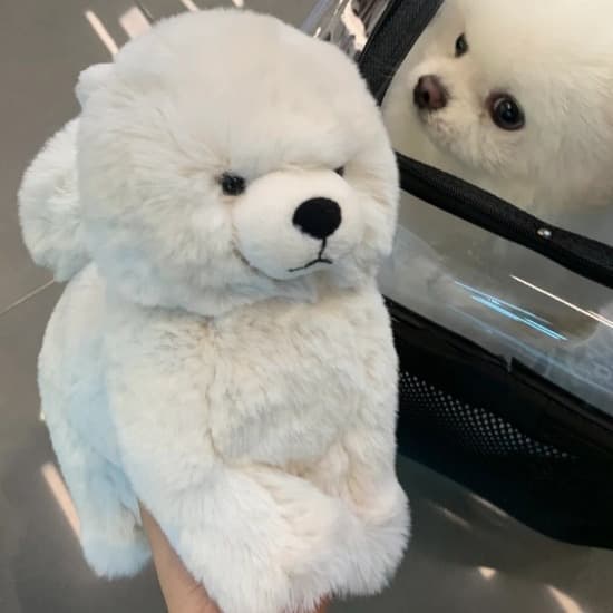 犬 ぬいぐるみ もこもこポメラニアン抱き枕ぬいぐるみ